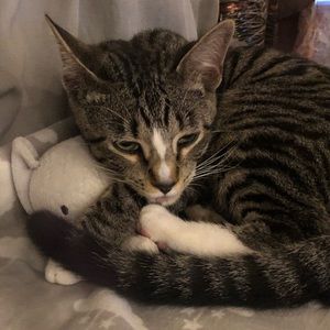 Meet your Posher, Allison